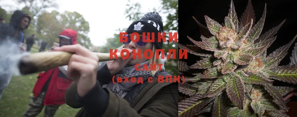 PSILOCYBIN Пересвет