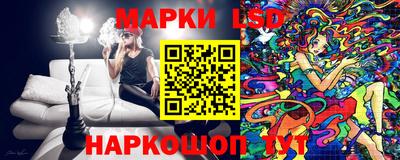 spice Кандалакша