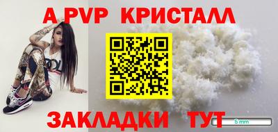ECSTASY Камышлов