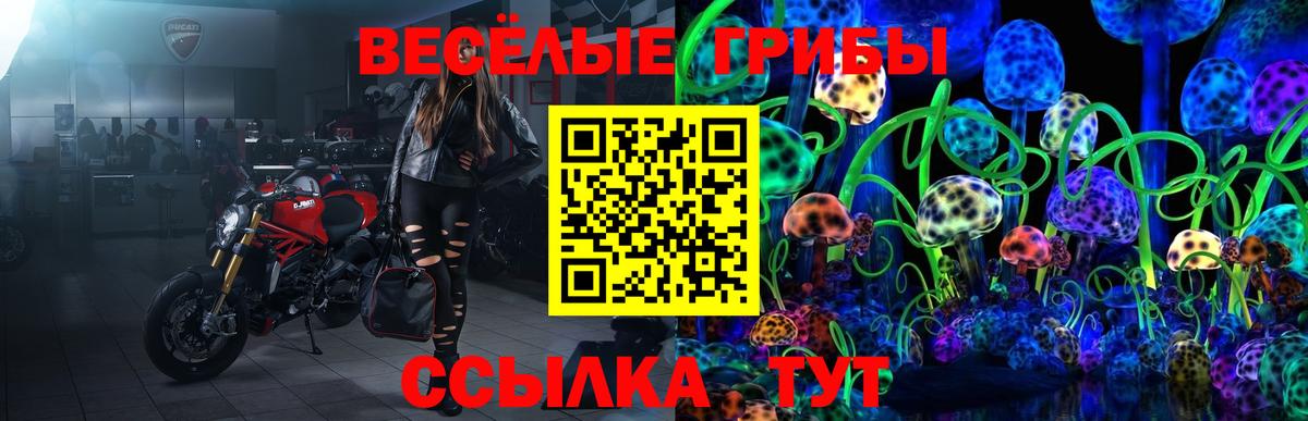 Галлюциногенные грибы Magic Shrooms Старая Русса